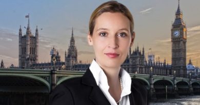 FDP-Fraktionsvize fordert neues Brexit-Referendum FDP-Fraktionsvize fordert neues Brexit-Referendum