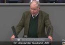 Gauland begründet die Ablehnung des Migrationspaktes durch die AfD im Bundestag Gauland begründet die Ablehnung des Migrationspaktes durch die AfD im Bundestag