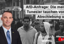 AfD-Anfrage: Die meisten Tunesier tauchen vor der Abschiebung unter AfD-Anfrage: Die meisten Tunesier tauchen vor der Abschiebung unter