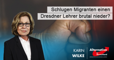 AfD-Anfrage: Schlugen Migranten einen Dresdner Lehrer brutal nieder? AfD-Anfrage: Schlugen Migranten einen Dresdner Lehrer brutal nieder?