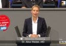 Die im Grundgesetz verbrieften Rechte und Pflichten mit Leben erfüllen Die im Grundgesetz verbrieften Rechte und Pflichten mit Leben erfüllen