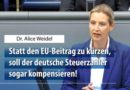 Bundesregierung nimmt hin, wie die EU deutsche Steuerzahler zur Kasse bittet Bundesregierung nimmt hin, wie die EU deutsche Steuerzahler zur Kasse bittet