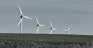 Öko-Sozialismus in Nordsachsen Öko-Sozialismus in Nordsachsen