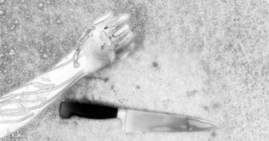 Messermord von Dresden – war es Schwulenhass? Messermord von Dresden – war es Schwulenhass?